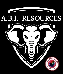 Archived ABI Resources Facebook image associated with ABI RESOURCES | Creative Art Program | Brain Injury Awareness — 2022-11-12 72745e83