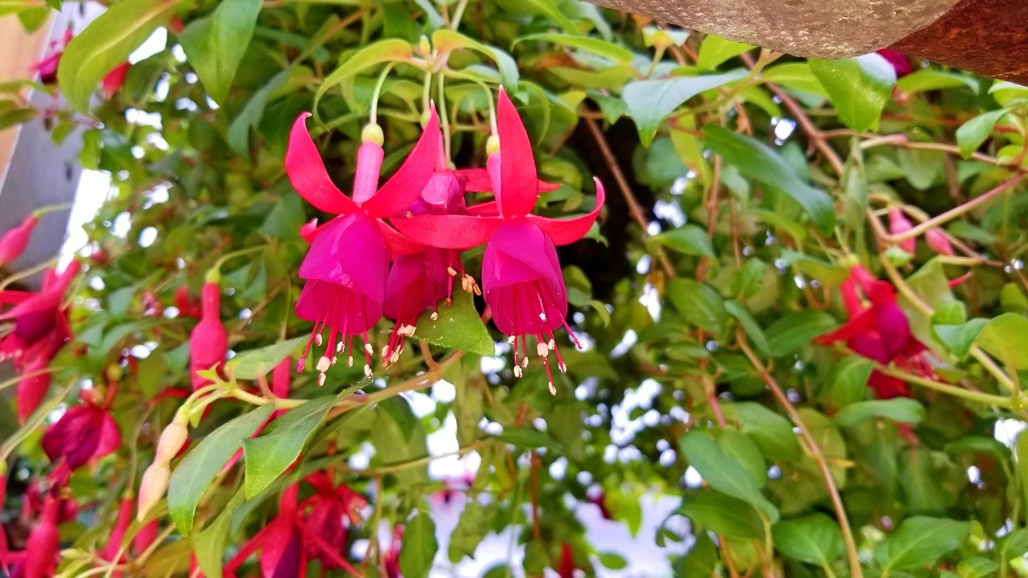 Archived ABI Resources Facebook image associated with Mobile uploads — 2019-10-06 eb67eda6