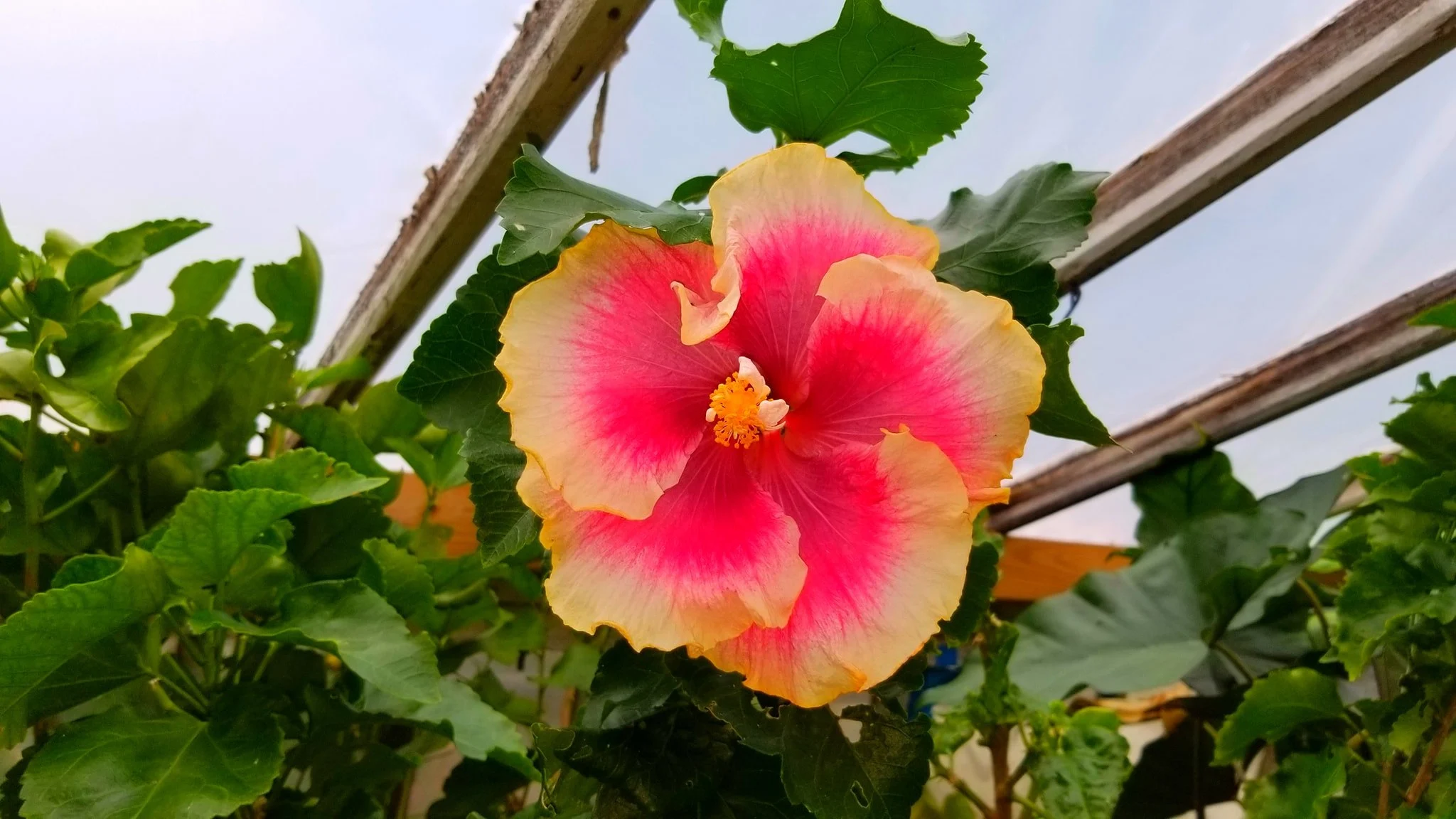 Archived ABI Resources Facebook image associated with Mobile uploads — 2019-10-06 e8359d31