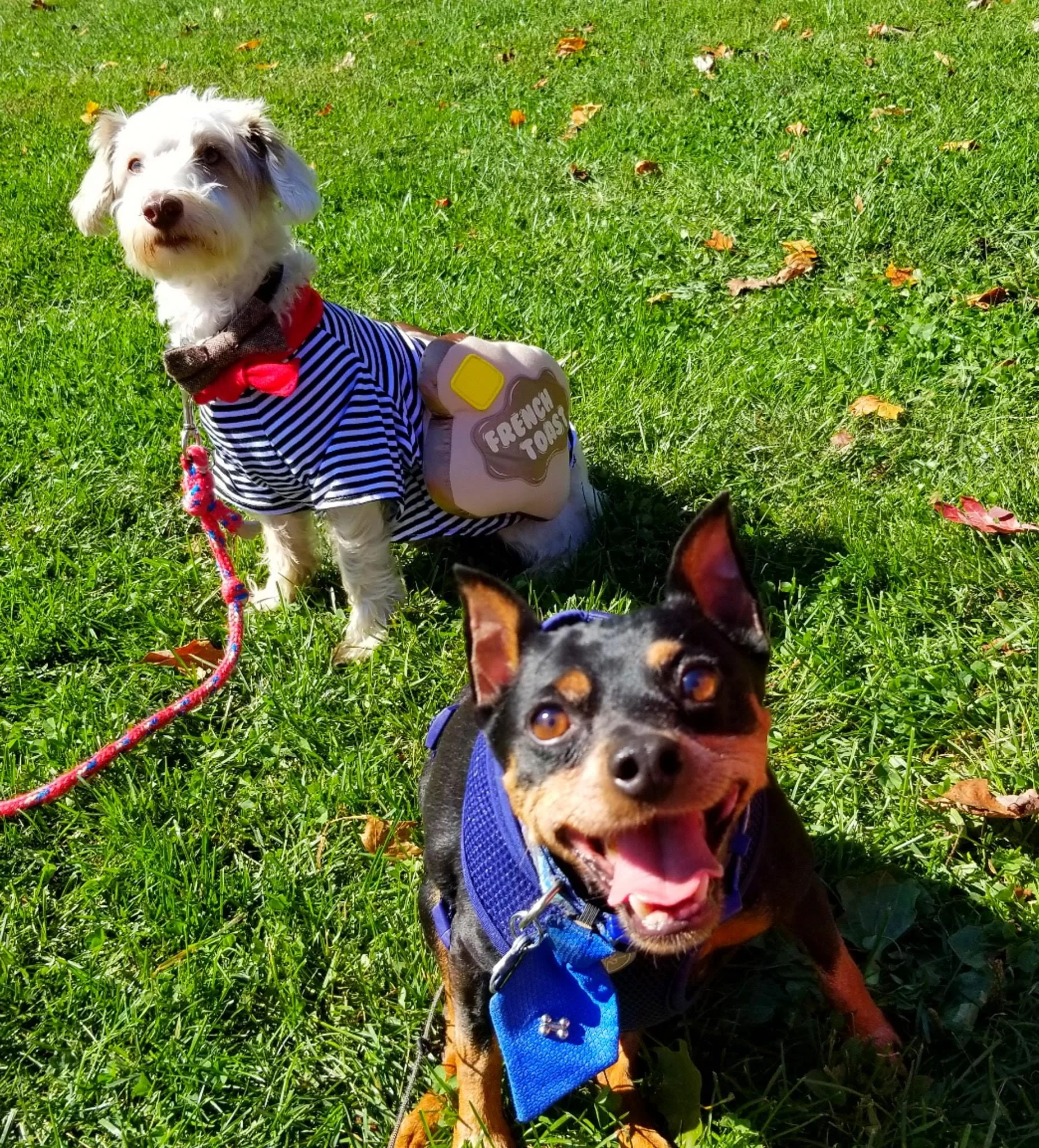 Archived ABI Resources Facebook image associated with Mobile uploads — 2019-10-05 5352ec1f