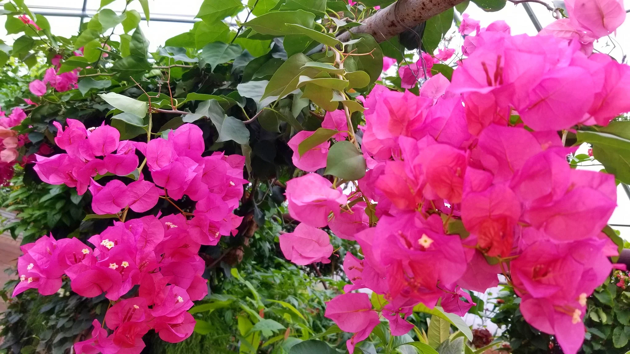 Archived ABI Resources Facebook image associated with Mobile uploads — 2019-10-06 b875c4a3