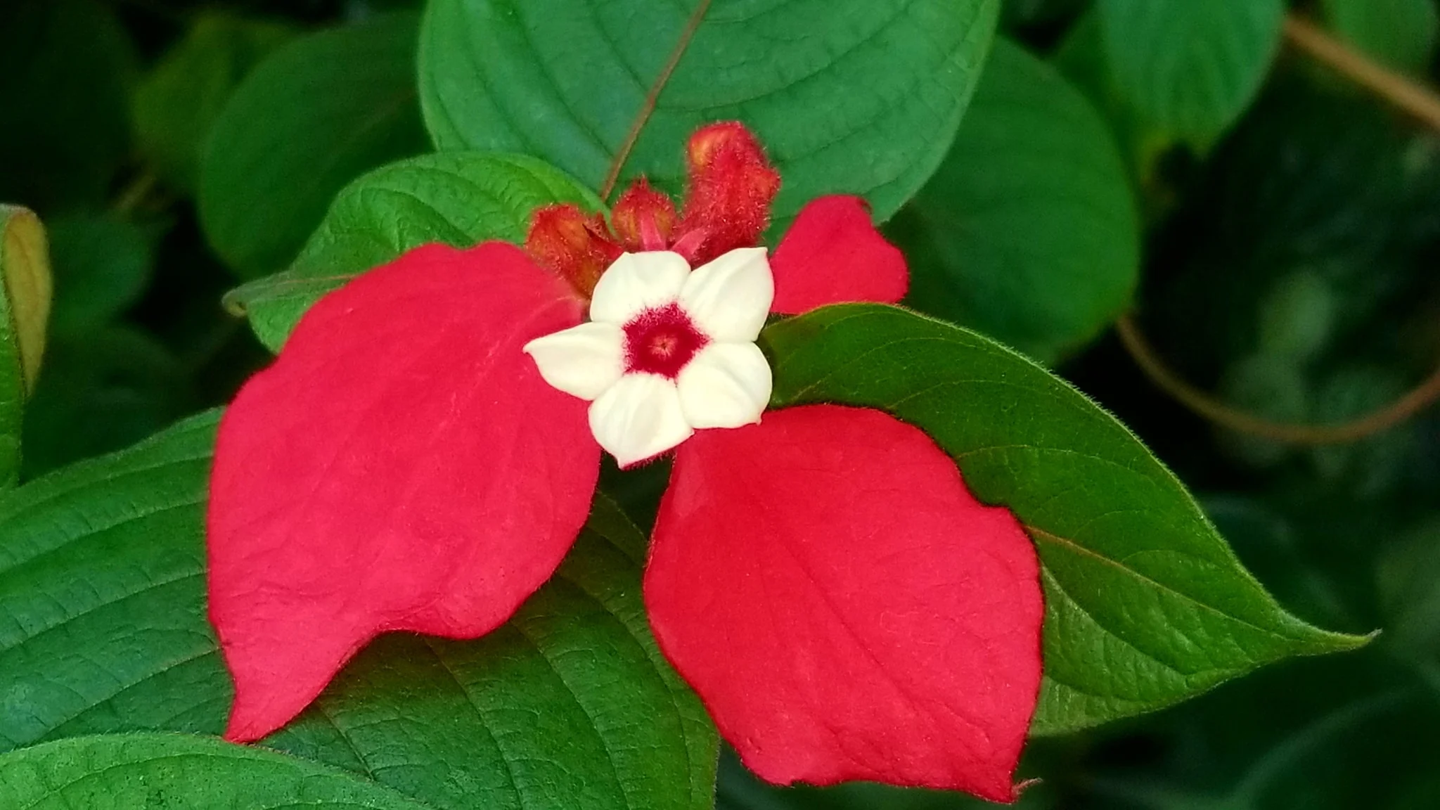 Archived ABI Resources Facebook image associated with Mobile uploads — 2019-10-06 c7083195