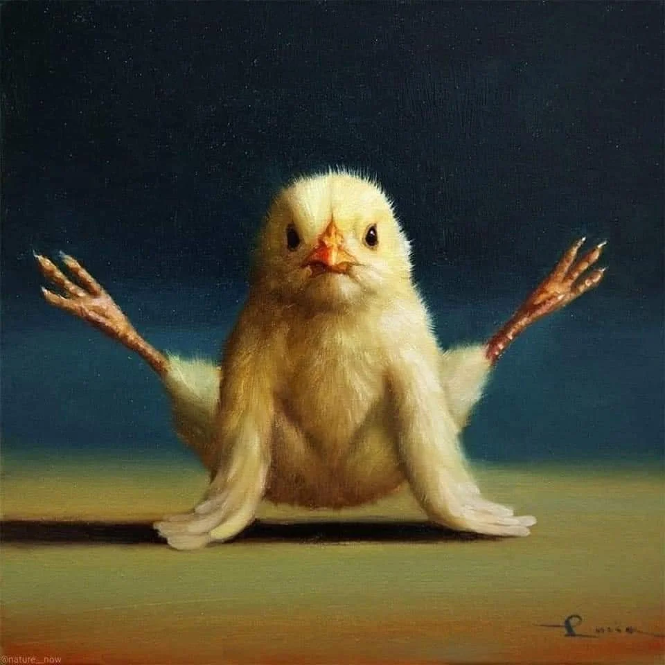 Archived ABI Resources Facebook image associated with 😁 Yoga chickies ❤️ © lucia heffernan ABI RESOURCES Be Yourself... Stay Awesome! Connecticut disability home and commu…