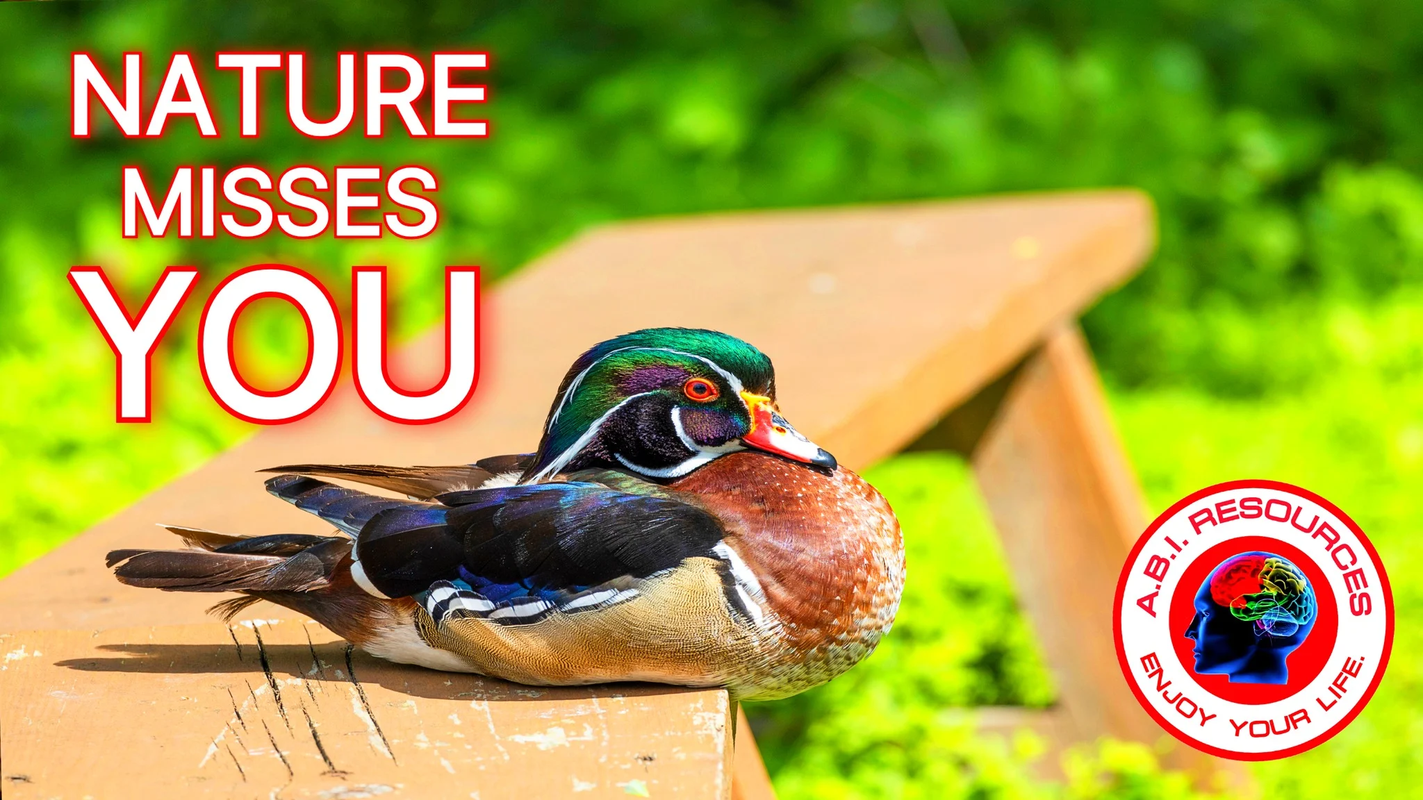 Archived ABI Resources Facebook image associated with Photos — 2023-10-18 88ea50c6