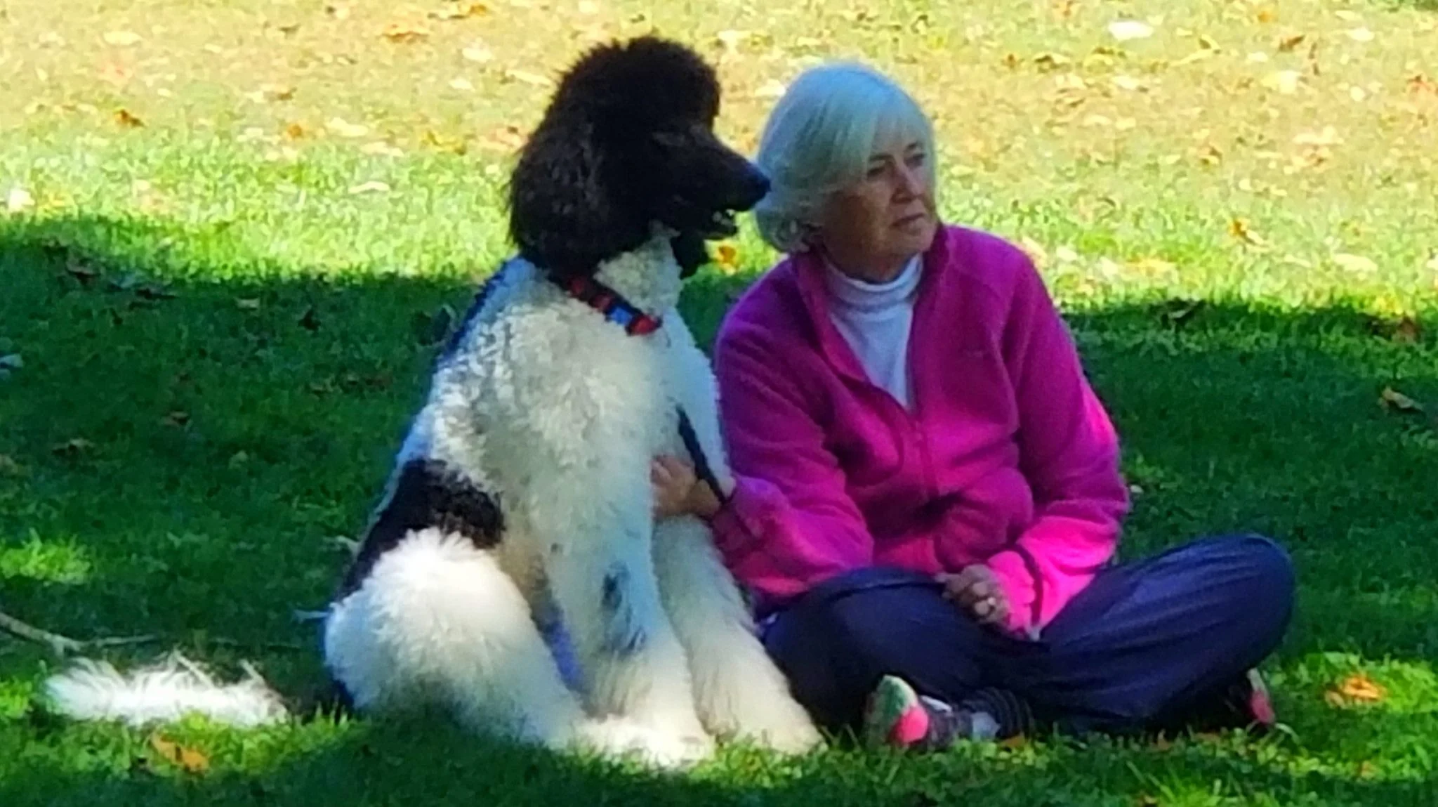 Archived ABI Resources Facebook image associated with Mobile uploads — 2019-10-05 381be5fb