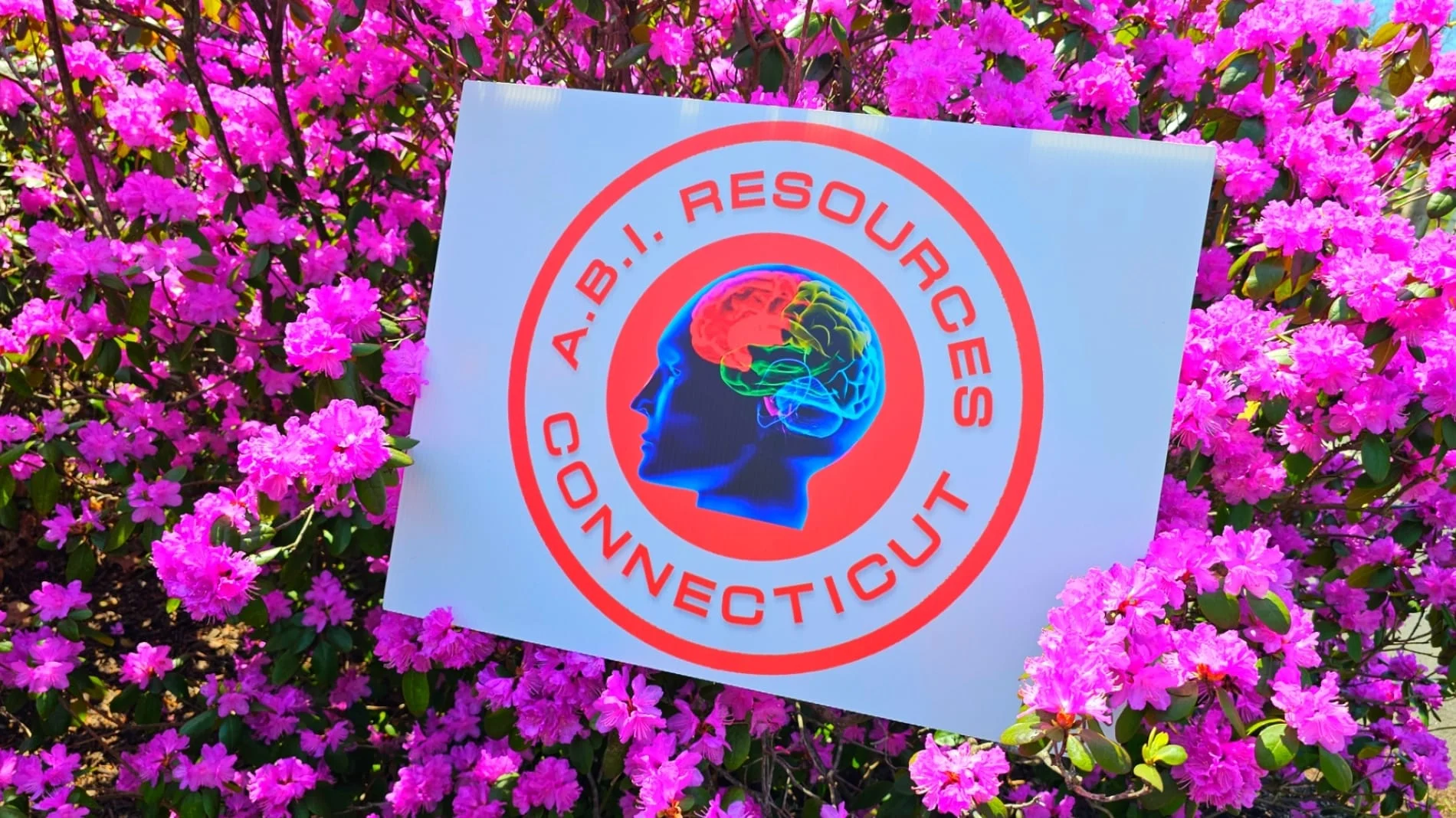 Archived ABI Resources Facebook image associated with Mobile uploads — 2024-04-15 59872418