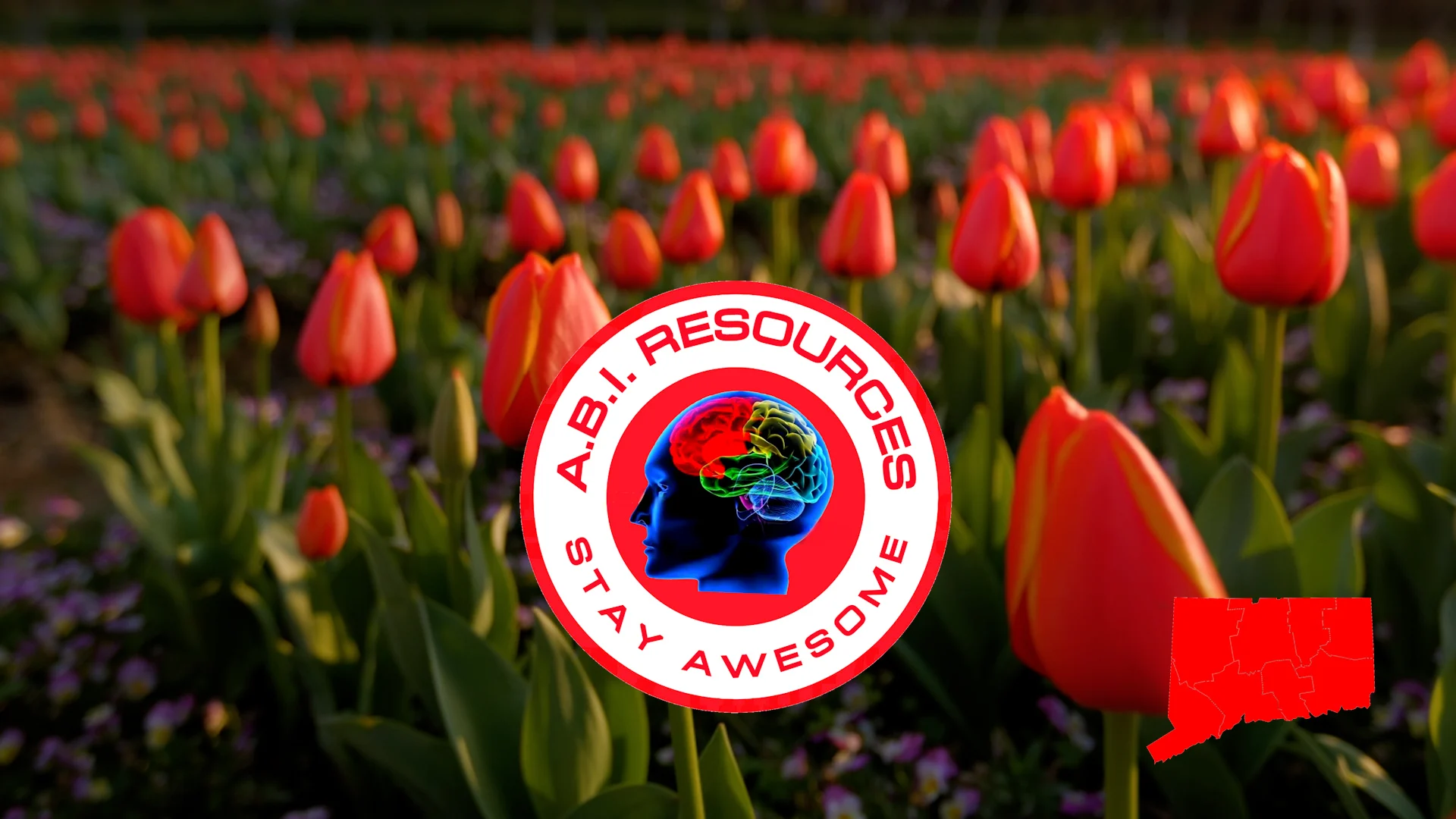 Archived ABI Resources Facebook image associated with Cover photos — 2023-04-09 bbca3592