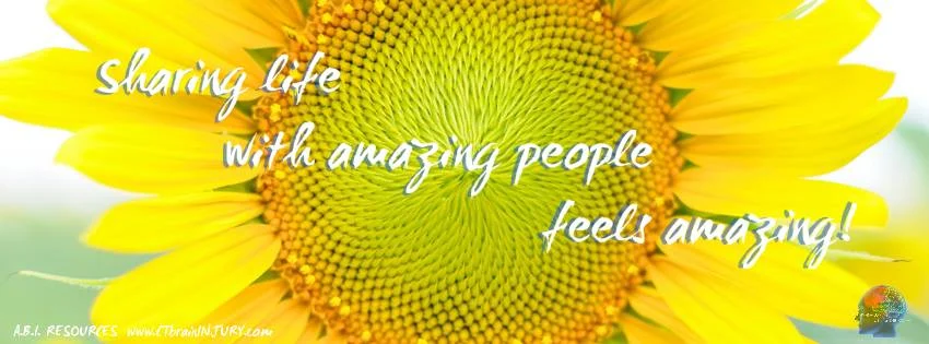 Archived ABI Resources Facebook image associated with Cover photos — 2015-11-11 3990428b