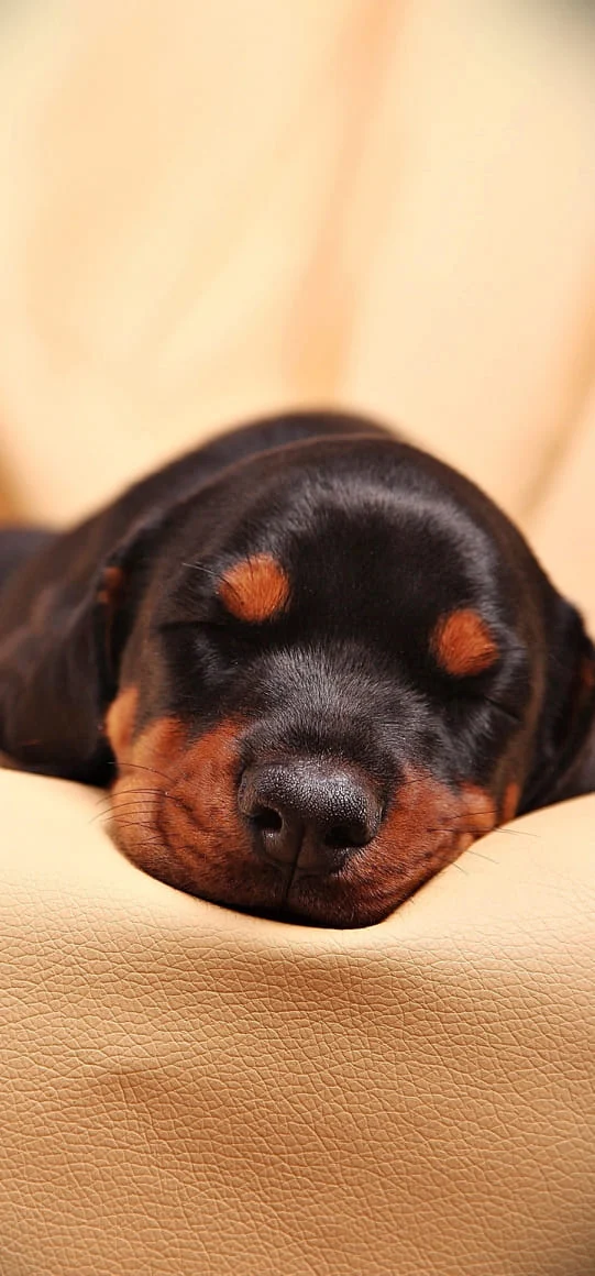 Archived ABI Resources Facebook image associated with Goodnight ❤ #Connecticut #sleep #healthiswealth