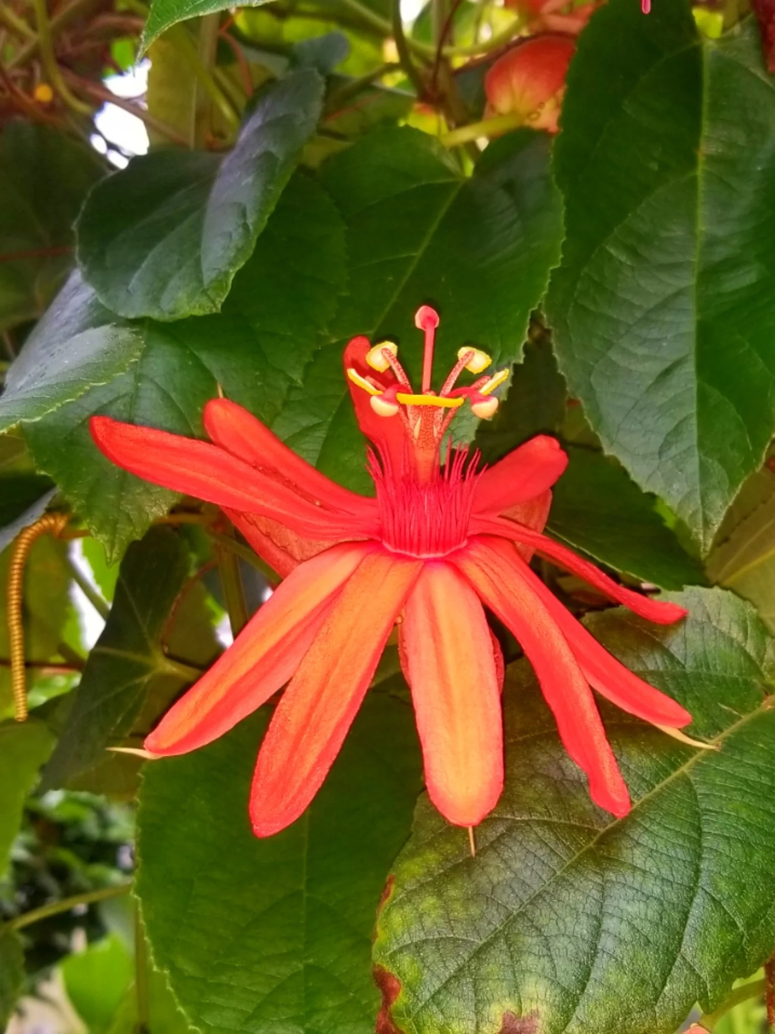 Archived ABI Resources Facebook image associated with Mobile uploads — 2019-10-06 576543a4