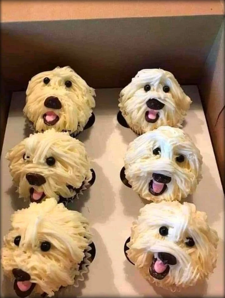 Archived ABI Resources Facebook image associated with PUPcakes?