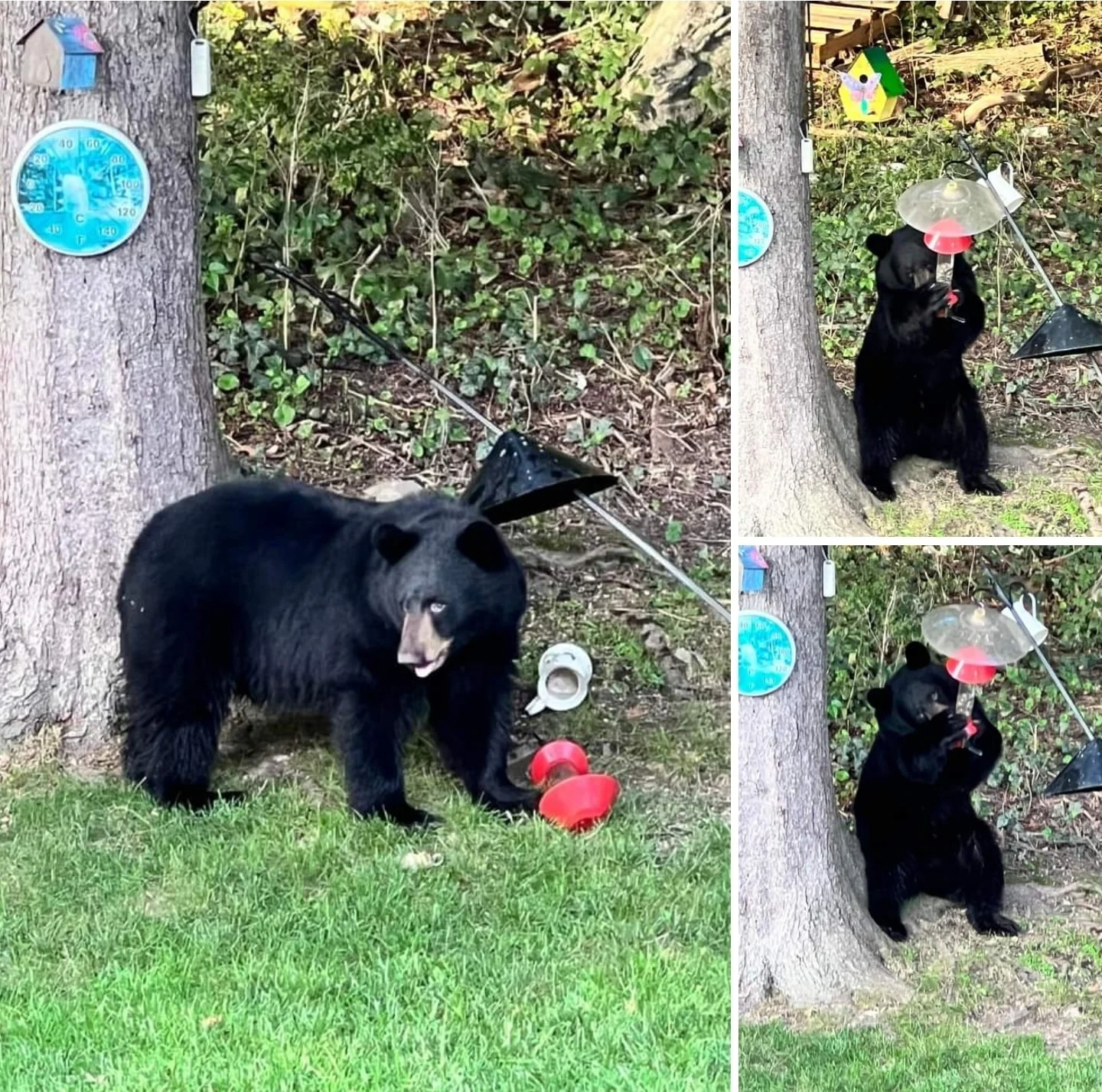 Archived ABI Resources Facebook image associated with 🐻 Waterbury CT! 🐻 😳