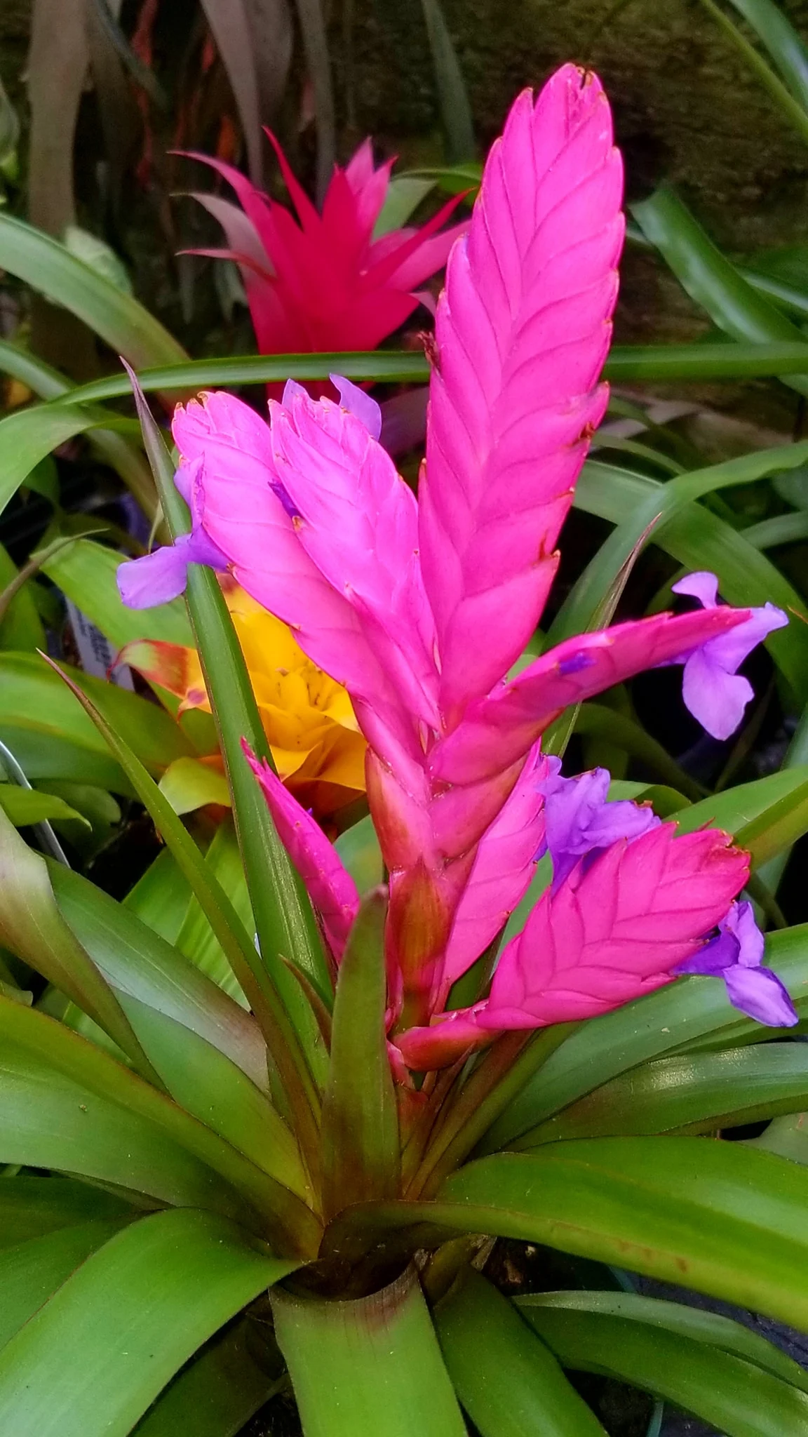 Archived ABI Resources Facebook image associated with Mobile uploads — 2019-10-06 b855b658