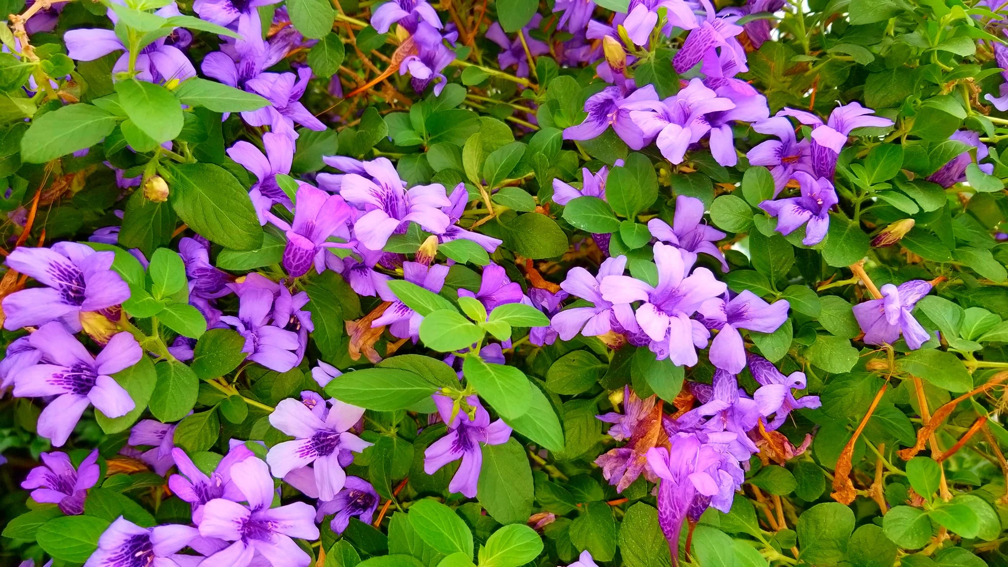 Archived ABI Resources Facebook image associated with Mobile uploads — 2019-10-06 45614ae6