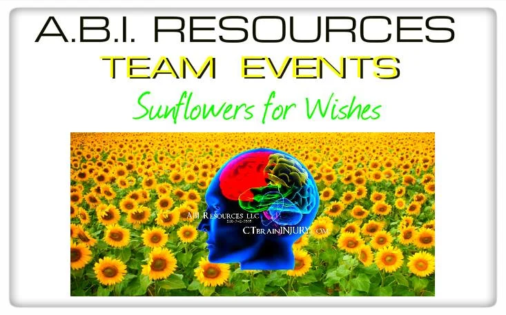 Archived ABI Resources Facebook image associated with Connecticut Brain Injury Support - CT TBI ABI ILST — 2018-07-16 f6da7fe2