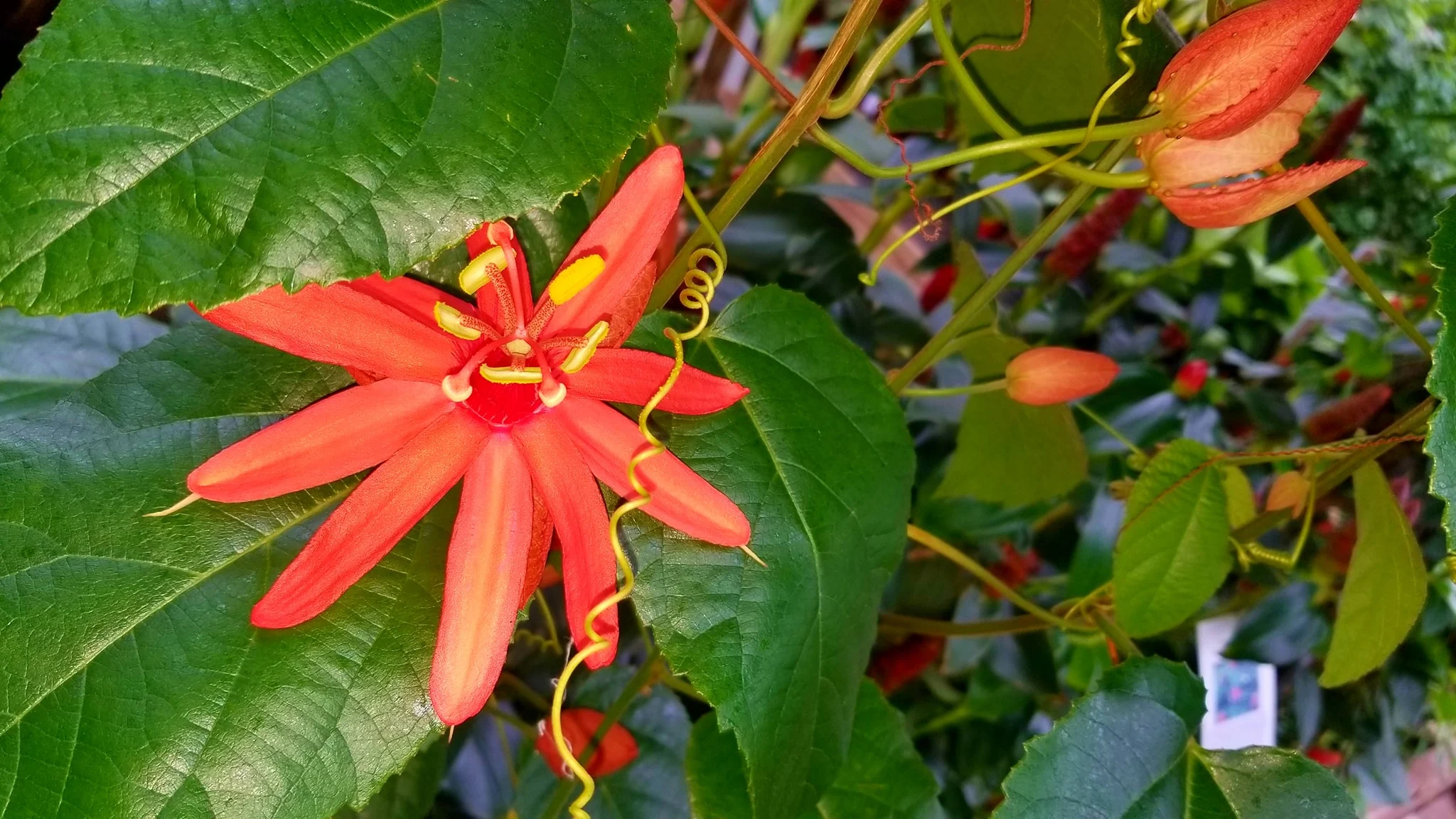 Archived ABI Resources Facebook image associated with Mobile uploads — 2019-10-06 a7cadfac
