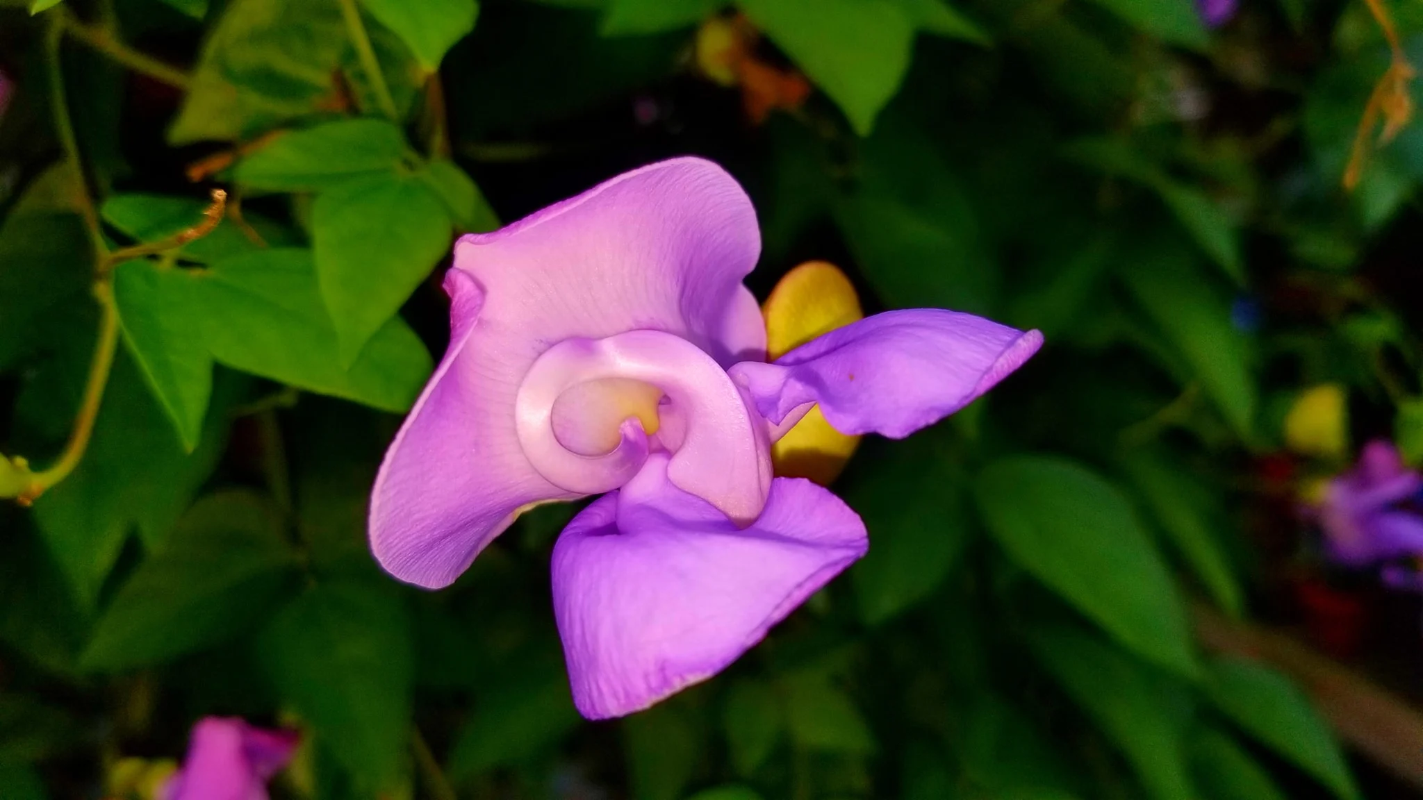 Archived ABI Resources Facebook image associated with AMAZING! Team trip to Logee's Tropical Plants in Danielson Connecticut. Brain Injury Community life and recovery. "On…