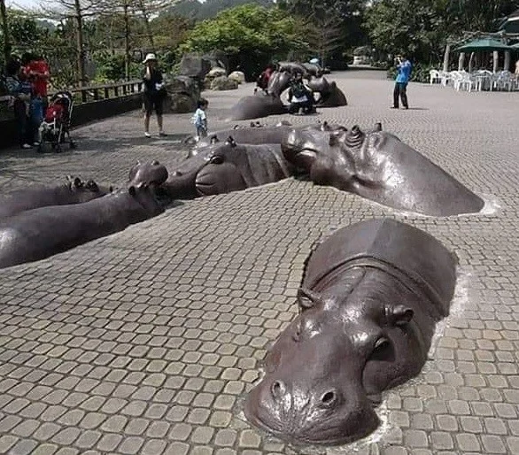 Archived ABI Resources Facebook image associated with Amazing Creative Sculptures 😲