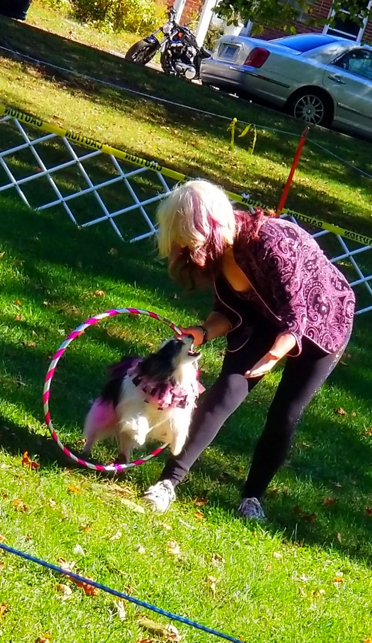 Archived ABI Resources Facebook image associated with Great Team outing today! Colchester Pumpkins and Pooches!🎃🐩🐕🐶🎃