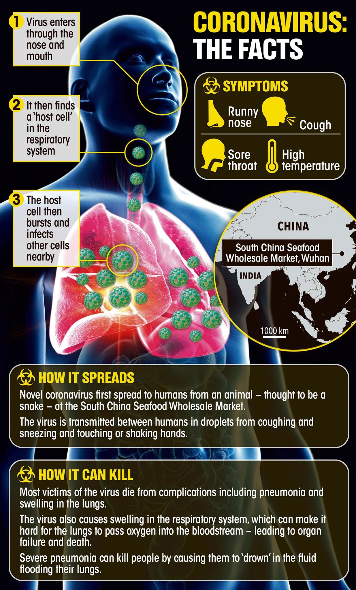Archived ABI Resources Facebook image associated with Coronavirus Facts