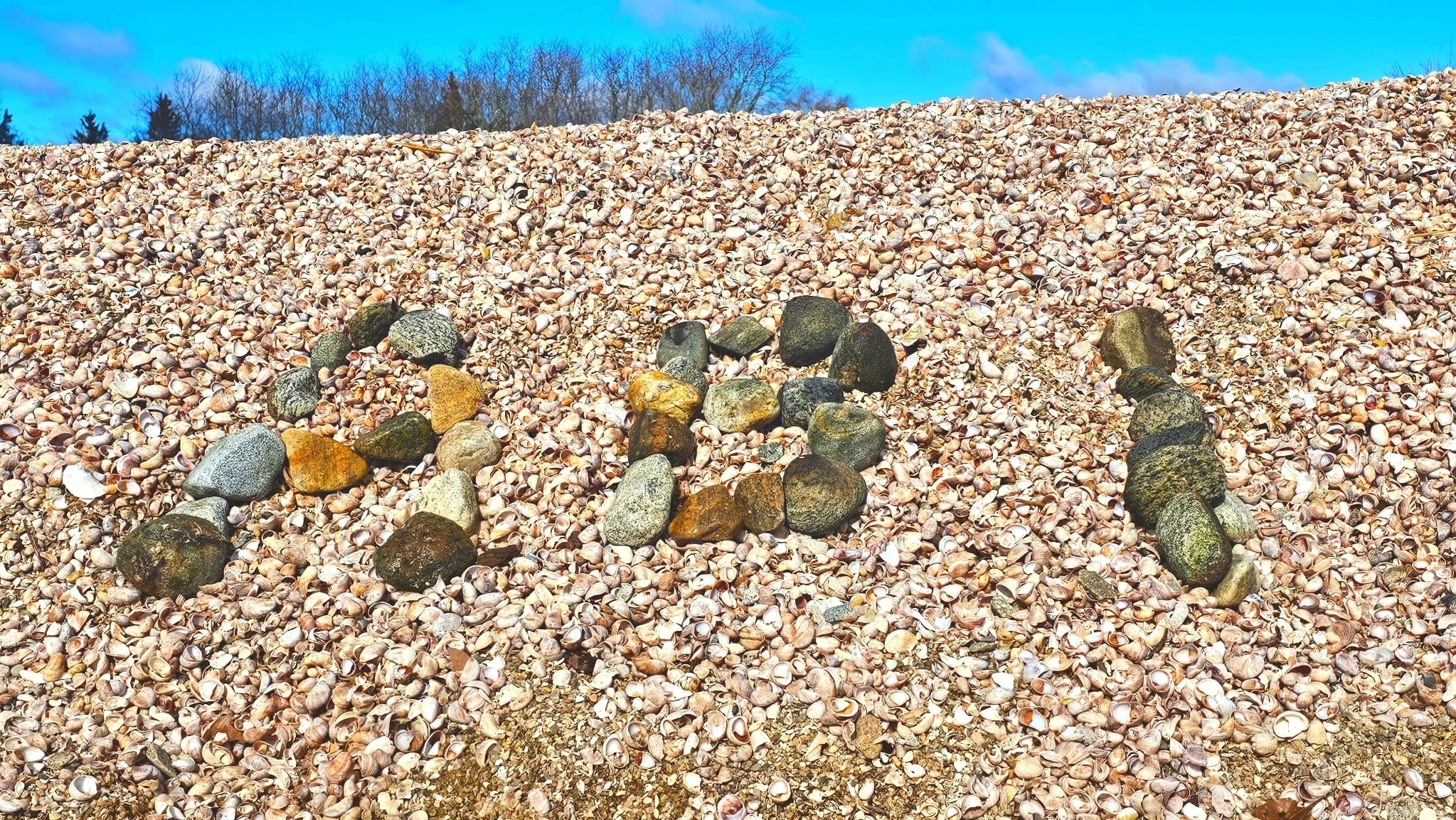 Archived ABI Resources Facebook image associated with Mobile uploads — 2024-03-03 f579fe74