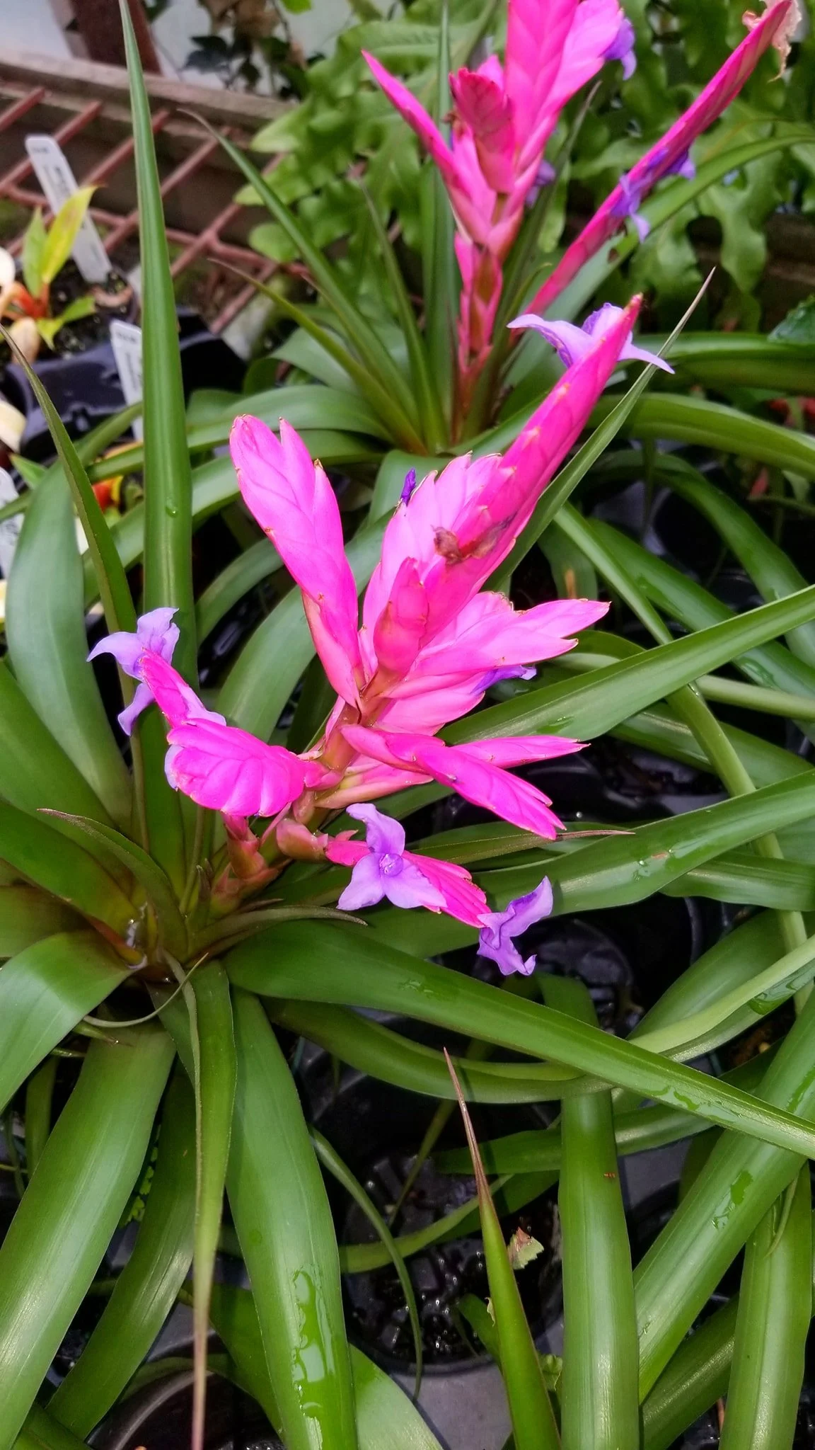 Archived ABI Resources Facebook image associated with Mobile uploads — 2019-10-06 183fa319