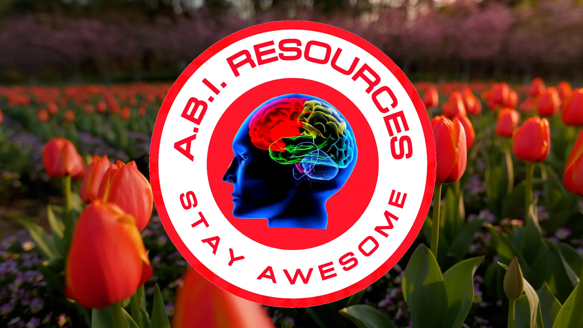 Archived ABI Resources Facebook image associated with Cover photos — 2024-04-03 d2f3d3bf
