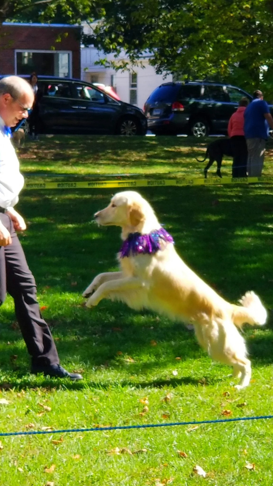 Archived ABI Resources Facebook image associated with Great Team outing today! Colchester Pumpkins and Pooches!🎃🐩🐕🐶🎃