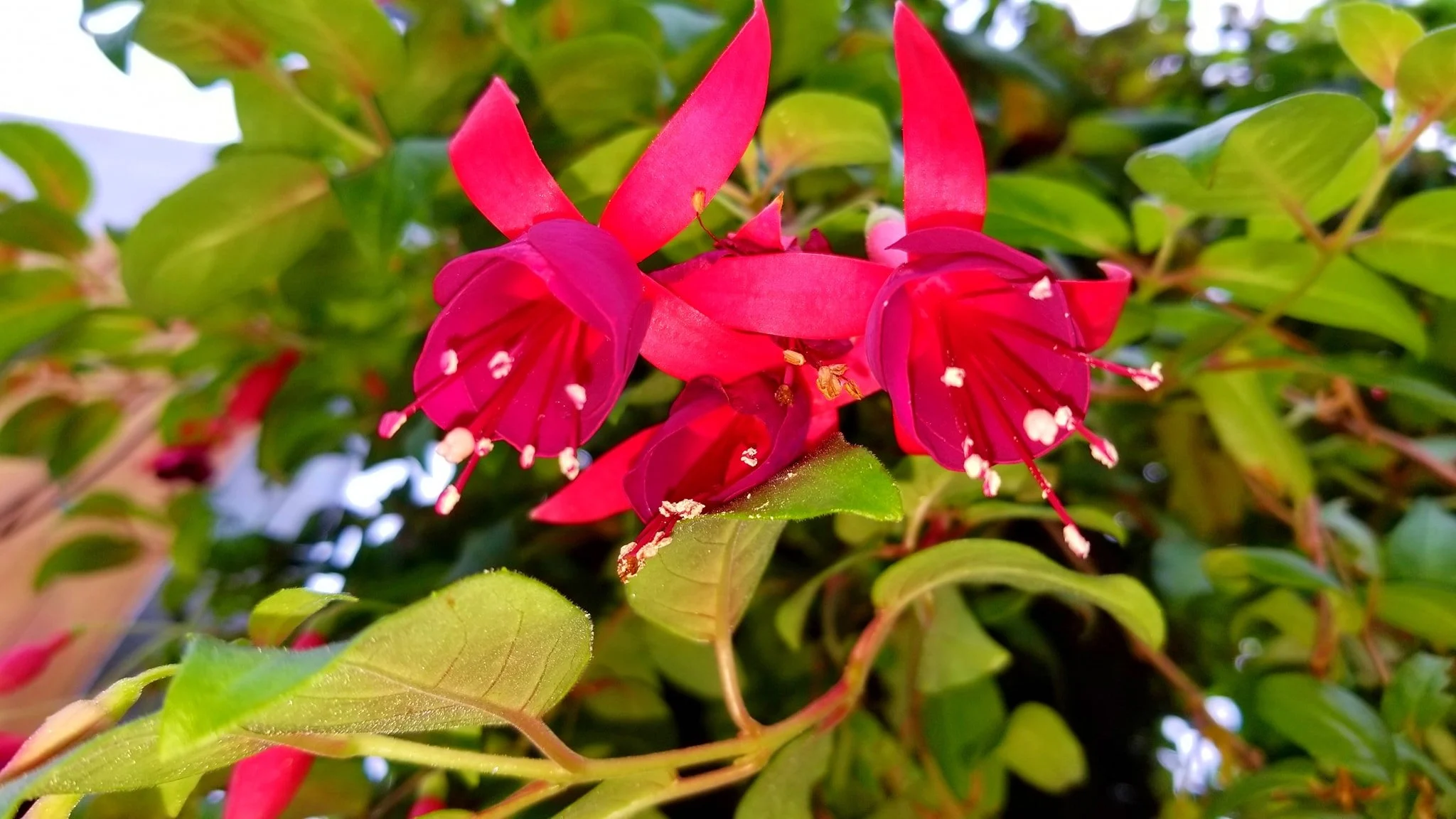 Archived ABI Resources Facebook image associated with Mobile uploads — 2019-10-06 5d524ebf