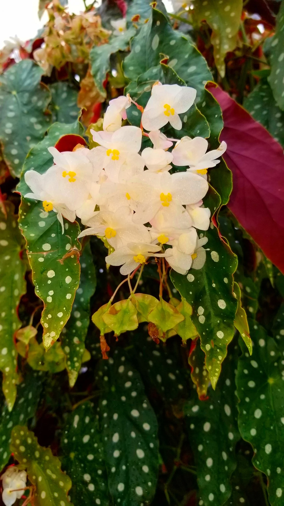 Archived ABI Resources Facebook image associated with Mobile uploads — 2019-10-06 2f81a427