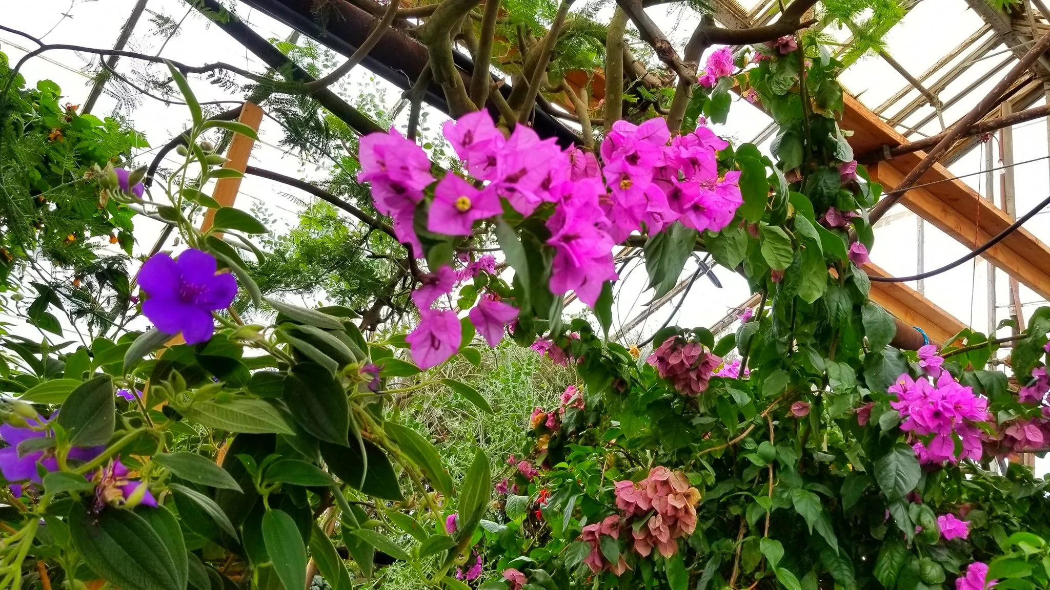 Archived ABI Resources Facebook image associated with Mobile uploads — 2019-10-06 3606dc28