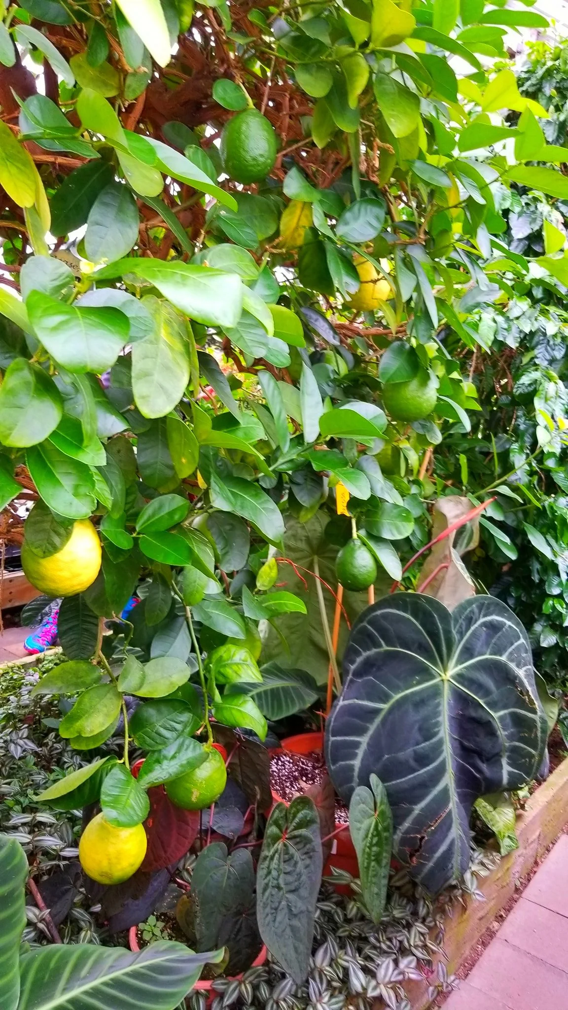 Archived ABI Resources Facebook image associated with Mobile uploads — 2019-10-06 b6e353cf