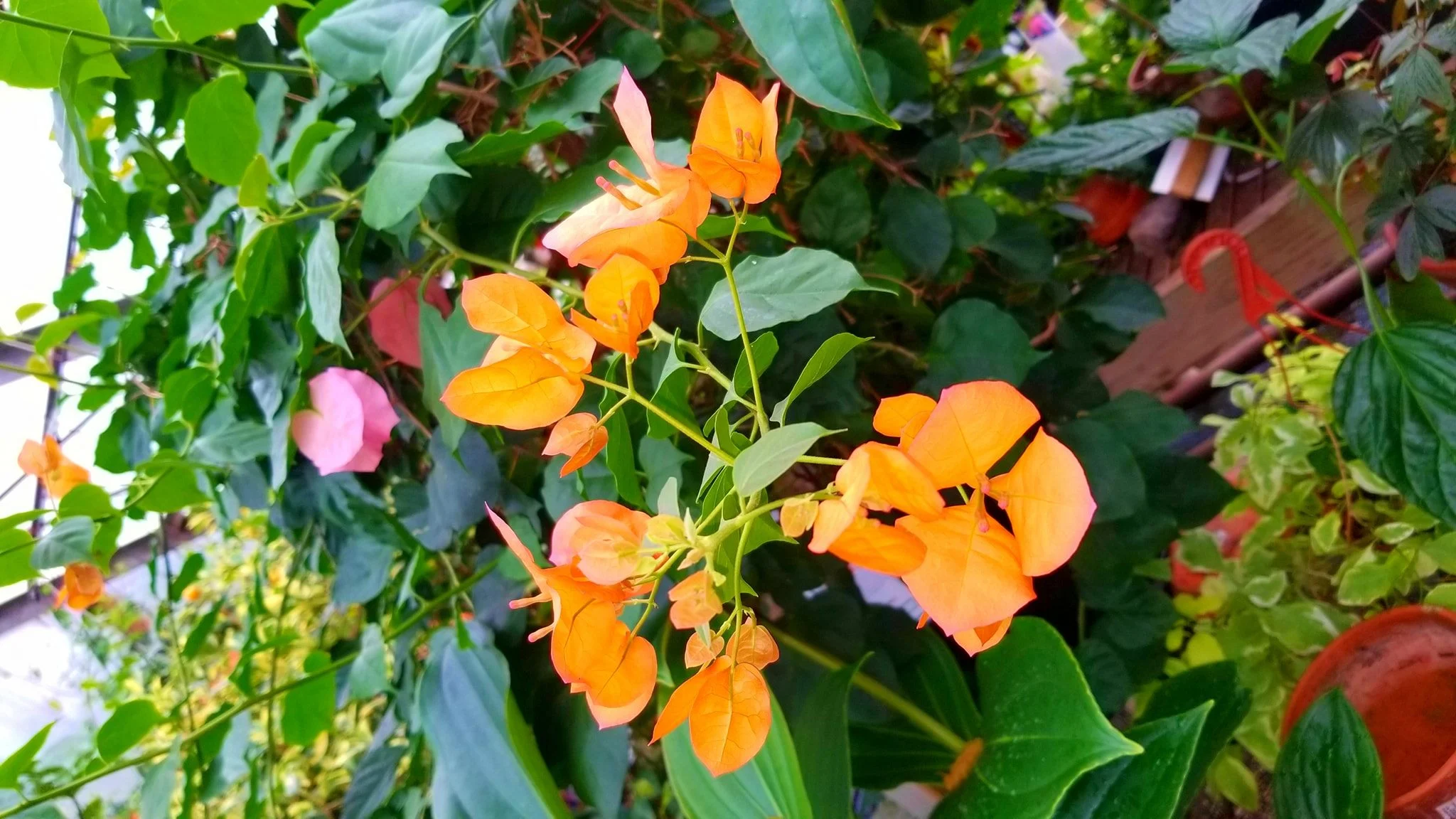 Archived ABI Resources Facebook image associated with Mobile uploads — 2019-10-06 abacd519