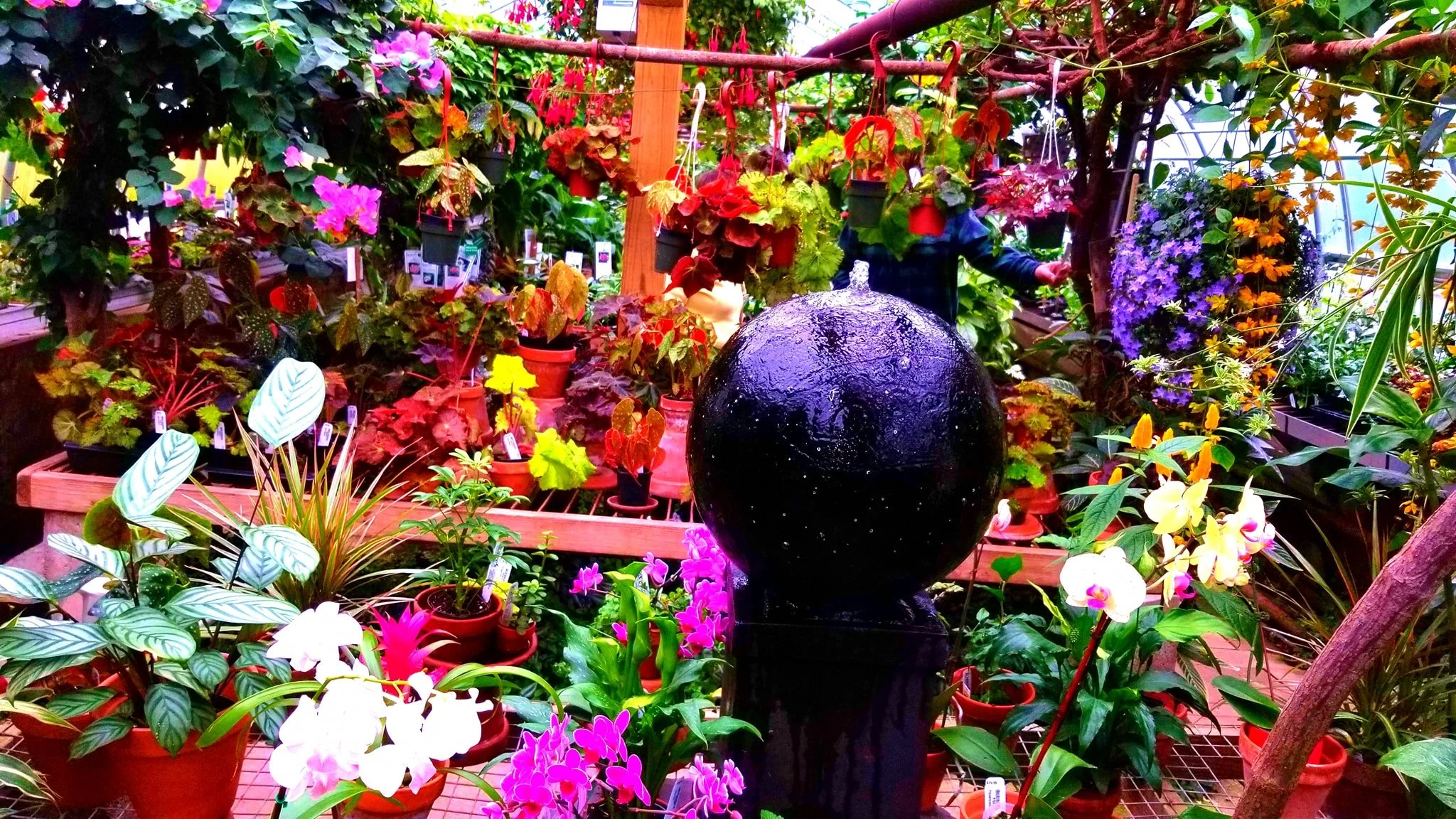 Archived ABI Resources Facebook image associated with Mobile uploads — 2019-10-06 3e159f68