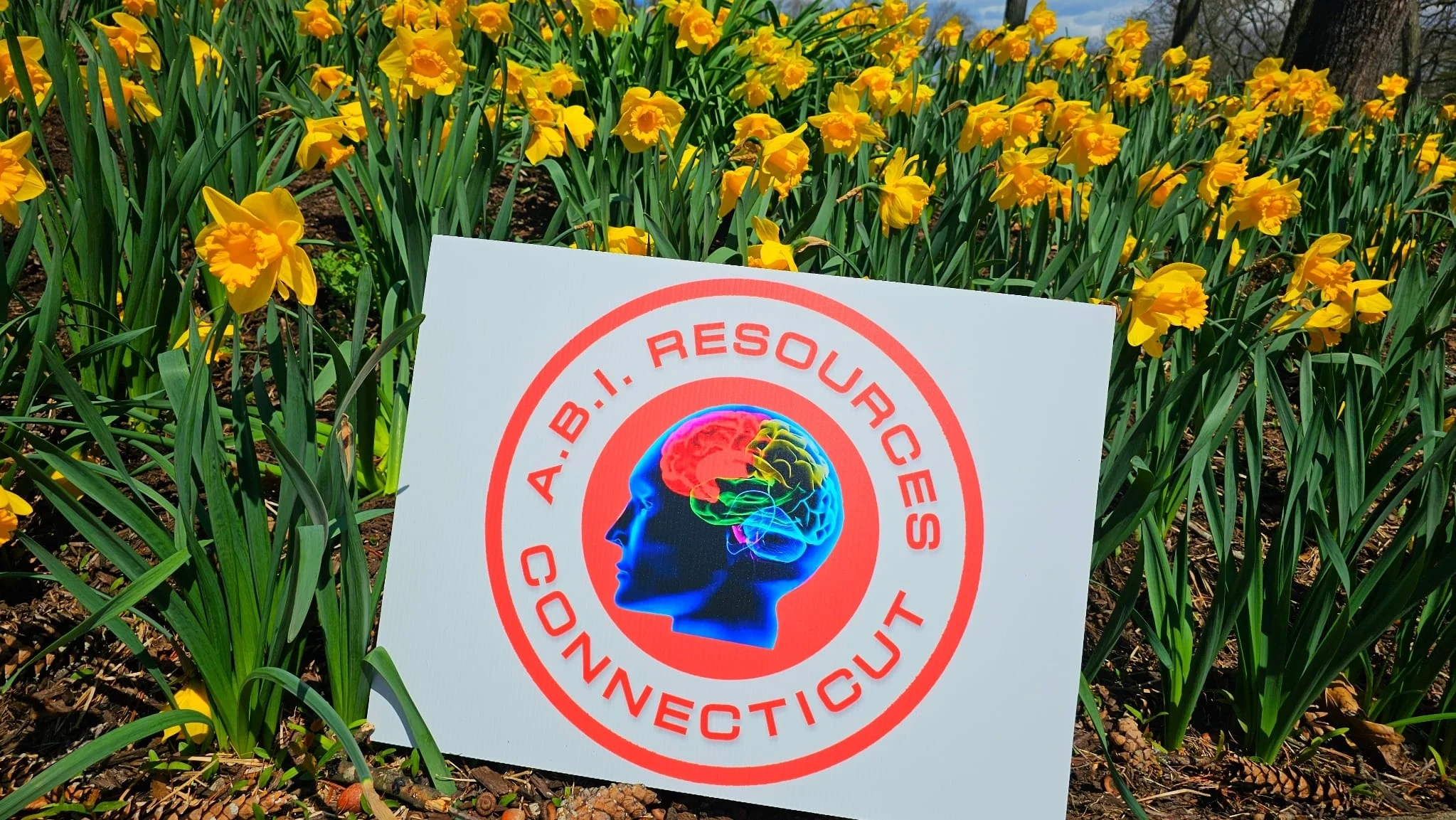 Archived ABI Resources Facebook image associated with Mobile uploads — 2024-04-15 e6a1ab0c