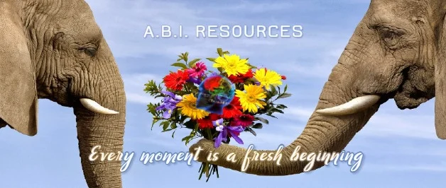 Archived ABI Resources Facebook image associated with Cover photos — 2020-02-18 a5012873